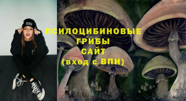 прущие крисы Алексеевка