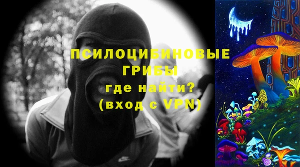 крисы Алзамай