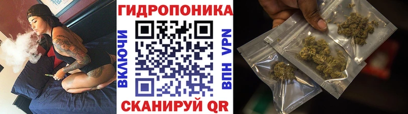 KRAKEN ONION  Краснослободск  Канабис White Widow  купить наркотики цена 